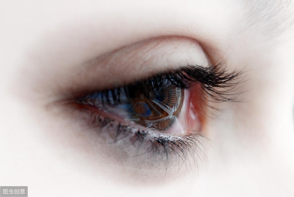 眼睑是在眼睛的哪个部位（下眼睑下至图片对比）