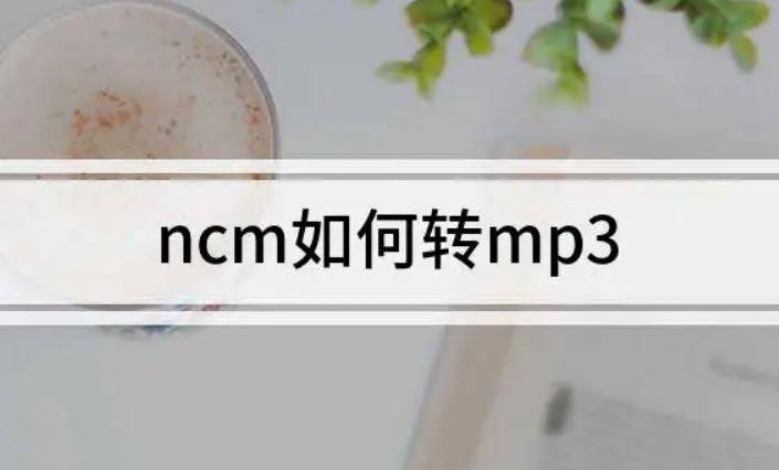 易云ncm怎么改成mp3(十大免费音乐站分享)